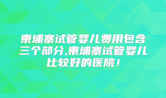 柬埔寨试管婴儿费用包含三个部分,柬埔寨试管婴儿比较好的医院！