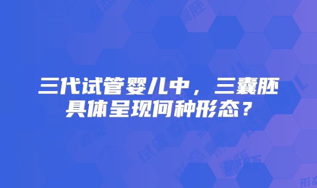 三代试管婴儿中，三囊胚具体呈现何种形态？