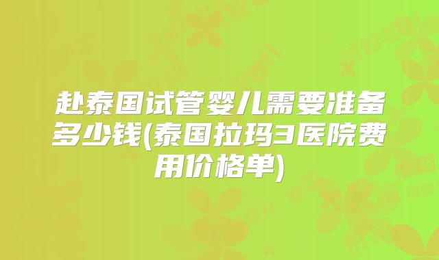 赴泰国试管婴儿需要准备多少钱(泰国拉玛3医院费用价格单)