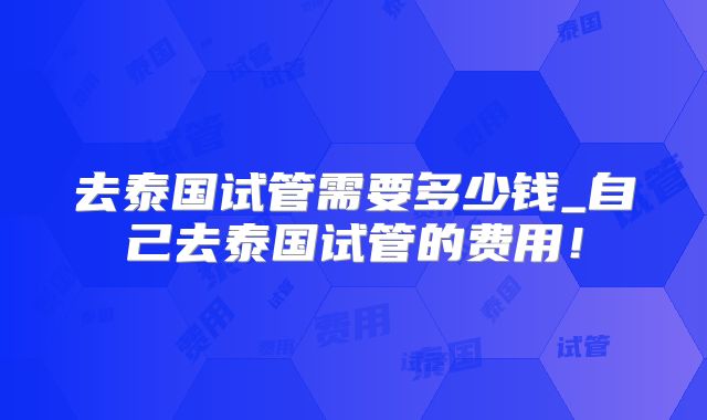 去泰国试管需要多少钱_自己去泰国试管的费用！