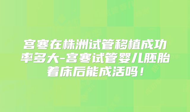 宫寒在株洲试管移植成功率多大-宫寒试管婴儿胚胎着床后能成活吗!