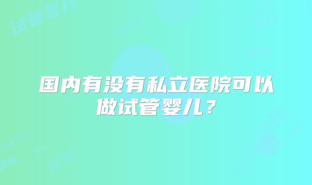 国内有没有私立医院可以做试管婴儿?