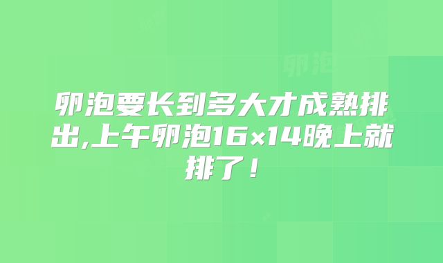 卵泡要长到多大才成熟排出,上午卵泡16×14晚上就排了!