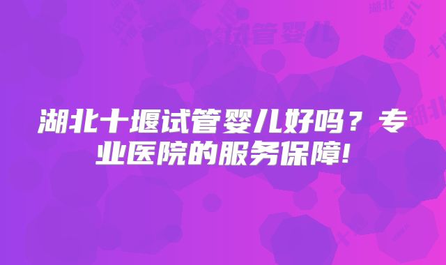 湖北十堰试管婴儿好吗？专业医院的服务保障!