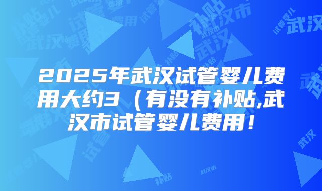 2025年武汉试管婴儿费用大约3（有没有补贴,武汉市试管婴儿费用！