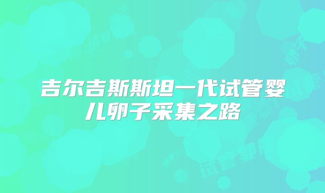 吉尔吉斯斯坦一代试管婴儿卵子采集之路