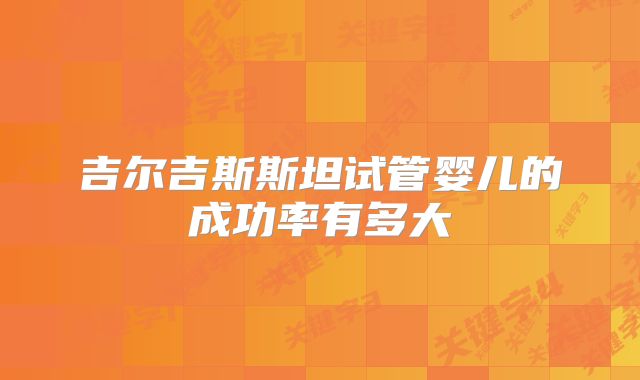 吉尔吉斯斯坦试管婴儿的成功率有多大