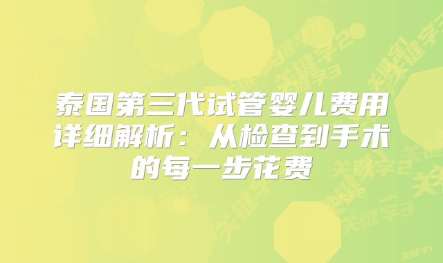 泰国第三代试管婴儿费用详细解析：从检查到手术的每一步花费