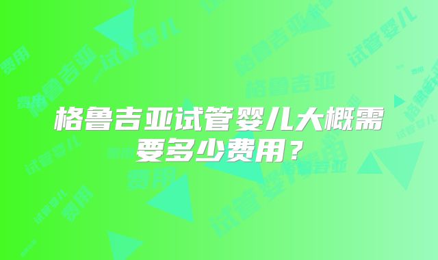 格鲁吉亚试管婴儿大概需要多少费用？