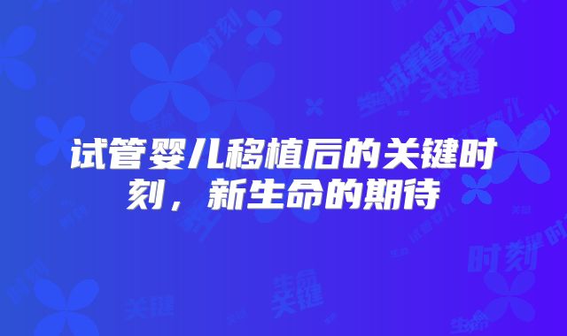 试管婴儿移植后的关键时刻，新生命的期待