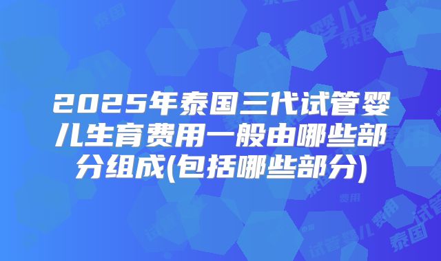 2025年泰国三代试管婴儿生育费用一般由哪些部分组成(包括哪些部分)