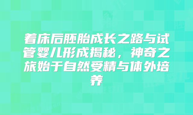 着床后胚胎成长之路与试管婴儿形成揭秘，神奇之旅始于自然受精与体外培养
