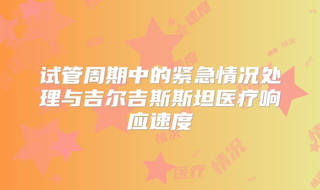 试管周期中的紧急情况处理与吉尔吉斯斯坦医疗响应速度