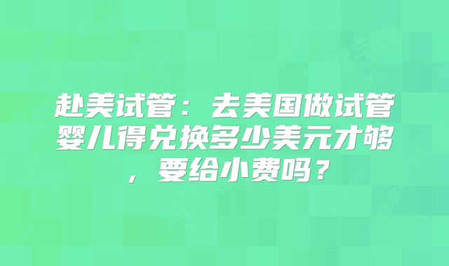 赴美试管：去美国做试管婴儿得兑换多少美元才够，要给小费吗？