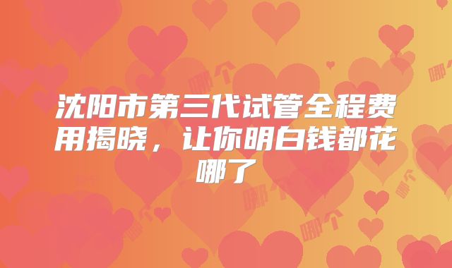 沈阳市第三代试管全程费用揭晓，让你明白钱都花哪了