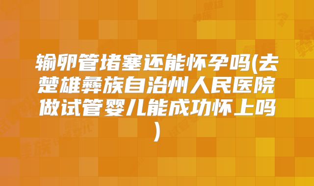 输卵管堵塞还能怀孕吗(去楚雄彝族自治州人民医院做试管婴儿能成功怀上吗)