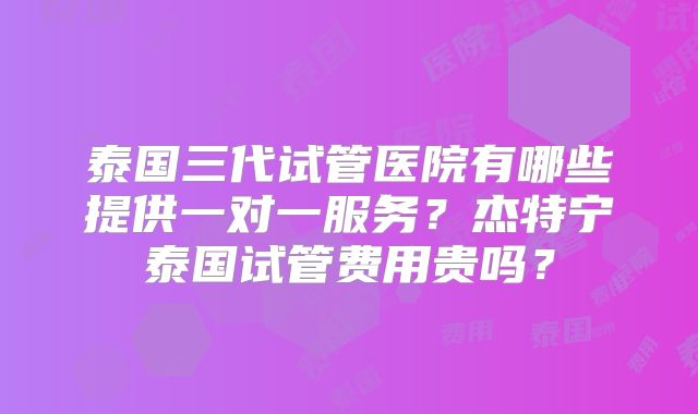 泰国三代试管医院有哪些提供一对一服务?杰特宁泰国试管费用贵吗?