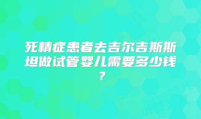 死精症患者去吉尔吉斯斯坦做试管婴儿需要多少钱?