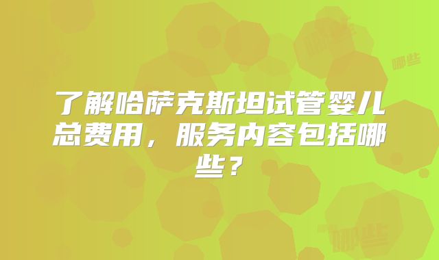 了解哈萨克斯坦试管婴儿总费用，服务内容包括哪些？