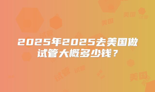 2025年2025去美国做试管大概多少钱?