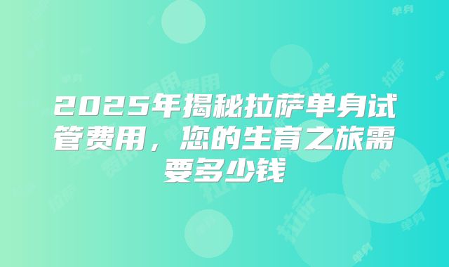 2025年揭秘拉萨单身试管费用，您的生育之旅需要多少钱