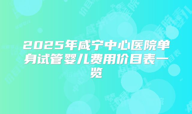 2025年咸宁中心医院单身试管婴儿费用价目表一览
