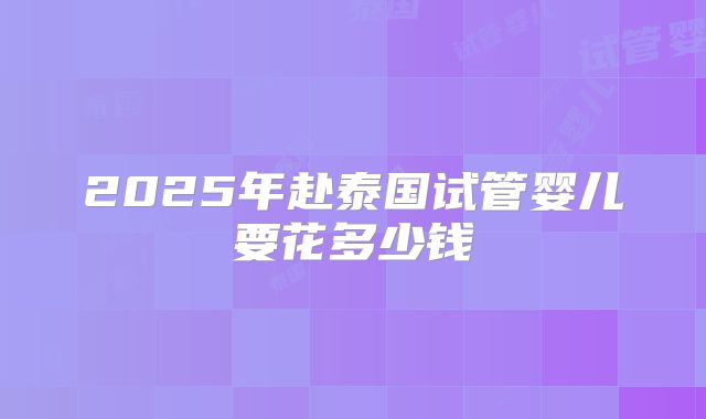 2025年赴泰国试管婴儿要花多少钱