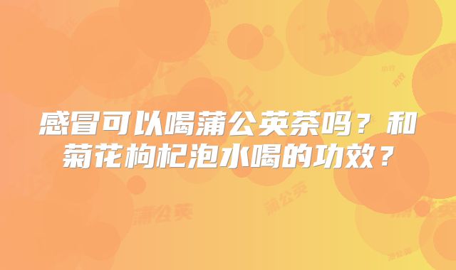 感冒可以喝蒲公英茶吗？和菊花枸杞泡水喝的功效？
