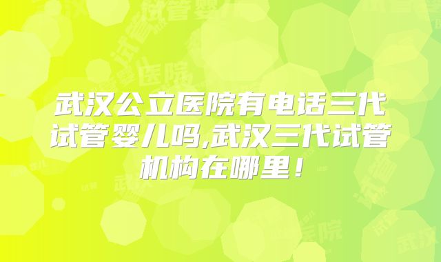 武汉公立医院有电话三代试管婴儿吗,武汉三代试管机构在哪里！