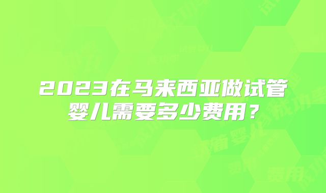 2023在马来西亚做试管婴儿需要多少费用？