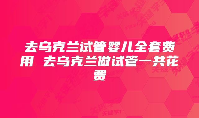 去乌克兰试管婴儿全套费用 去乌克兰做试管一共花费