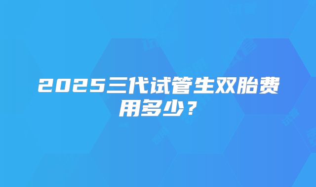 2025三代试管生双胎费用多少？