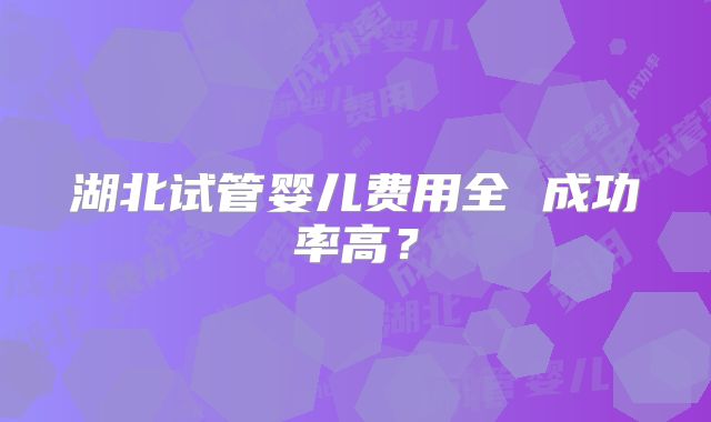 湖北试管婴儿费用全 成功率高？