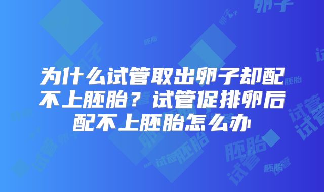 为什么试管取出卵子却配不上胚胎？试管促排卵后配不上胚胎怎么办