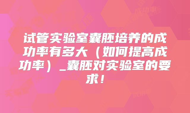 试管实验室囊胚培养的成功率有多大(如何提高成功率)_囊胚对实验室的要求!