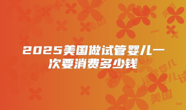 2025美国做试管婴儿一次要消费多少钱