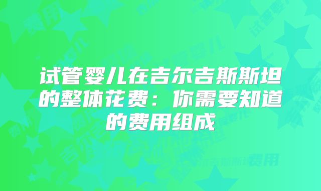 试管婴儿在吉尔吉斯斯坦的整体花费：你需要知道的费用组成