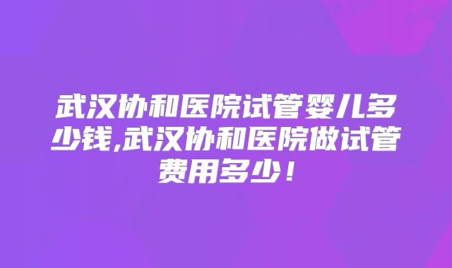 武汉协和医院试管婴儿多少钱,武汉协和医院做试管费用多少！