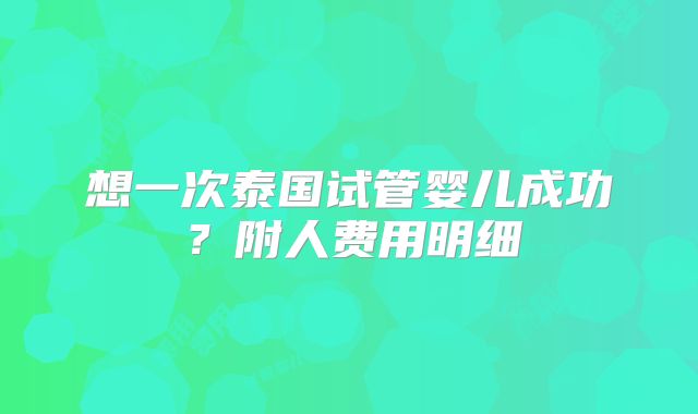 想一次泰国试管婴儿成功？附人费用明细