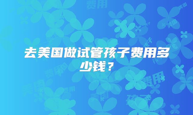 去美国做试管孩子费用多少钱？