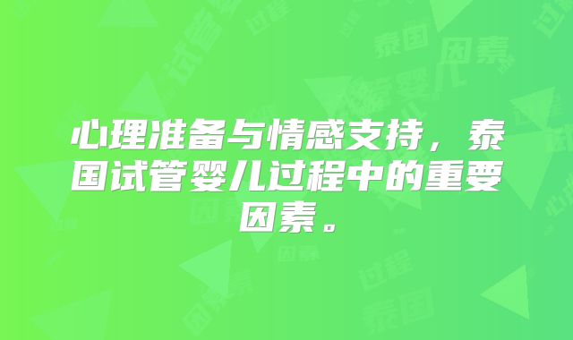 心理准备与情感支持，泰国试管婴儿过程中的重要因素。
