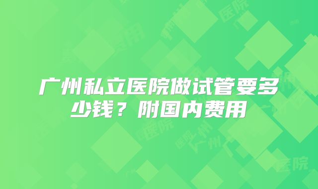 广州私立医院做试管要多少钱？附国内费用