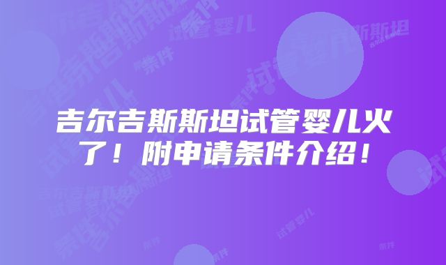 吉尔吉斯斯坦试管婴儿火了!附申请条件介绍!