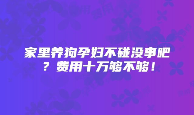 家里养狗孕妇不碰没事吧?费用十万够不够!