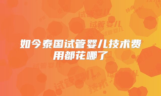 如今泰国试管婴儿技术费用都花哪了