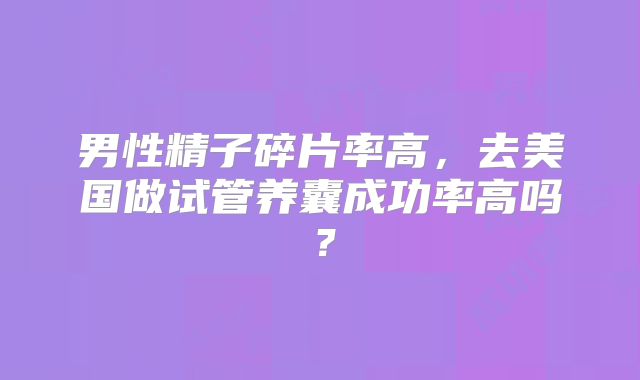男性精子碎片率高，去美国做试管养囊成功率高吗？