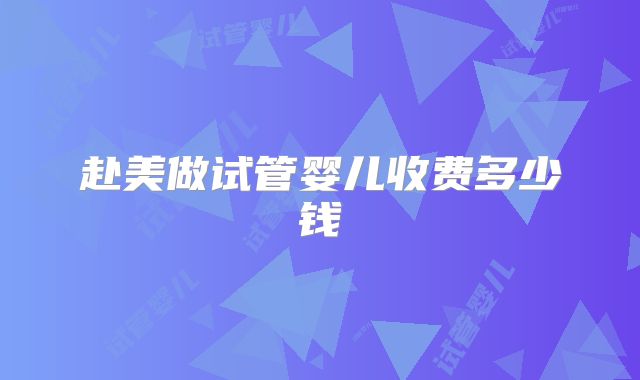 赴美做试管婴儿收费多少钱