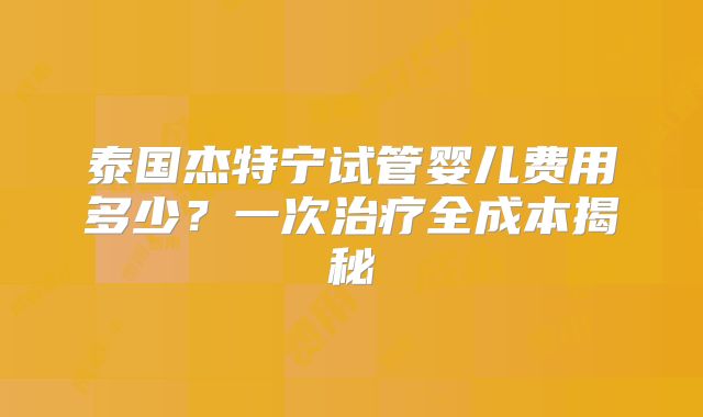 泰国杰特宁试管婴儿费用多少?一次治疗全成本揭秘