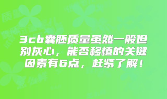 3cb囊胚质量虽然一般但别灰心，能否移植的关键因素有6点，赶紧了解！