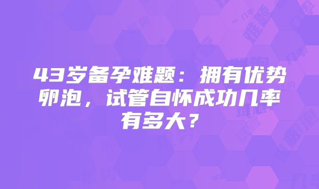 43岁备孕难题：拥有优势卵泡，试管自怀成功几率有多大？